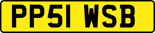 PP51WSB