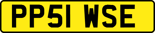 PP51WSE