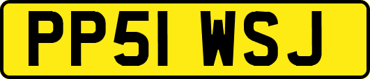 PP51WSJ