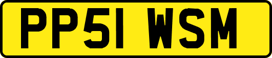 PP51WSM