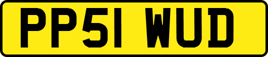 PP51WUD