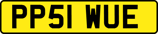 PP51WUE