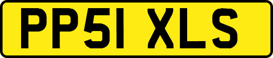 PP51XLS
