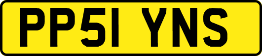 PP51YNS