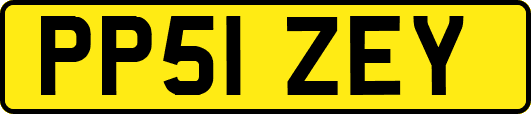 PP51ZEY