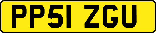 PP51ZGU
