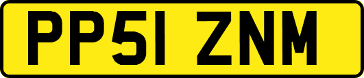 PP51ZNM
