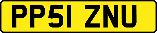 PP51ZNU