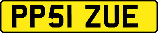 PP51ZUE