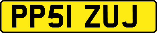 PP51ZUJ