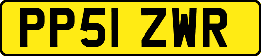 PP51ZWR