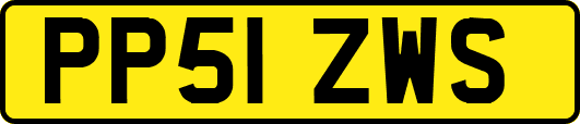 PP51ZWS