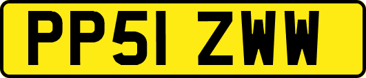 PP51ZWW