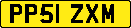 PP51ZXM
