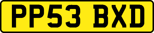 PP53BXD