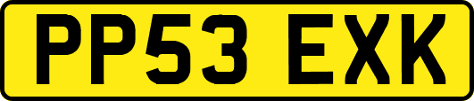 PP53EXK