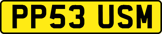 PP53USM