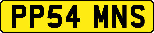 PP54MNS