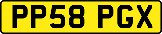 PP58PGX