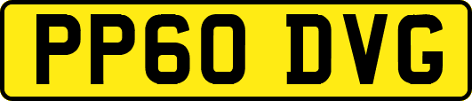PP60DVG