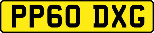 PP60DXG
