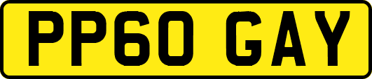 PP60GAY