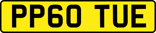 PP60TUE