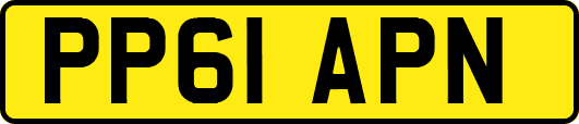 PP61APN