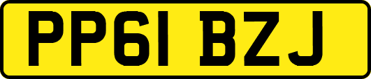 PP61BZJ