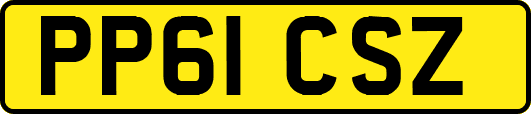 PP61CSZ