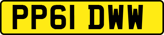 PP61DWW
