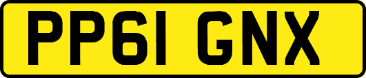PP61GNX