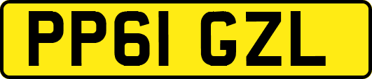 PP61GZL