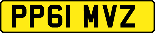 PP61MVZ