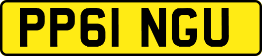PP61NGU