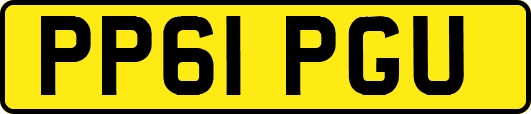 PP61PGU