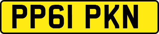 PP61PKN