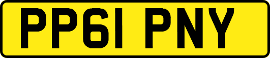 PP61PNY