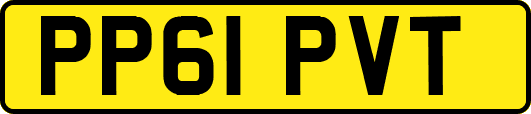 PP61PVT