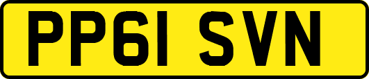 PP61SVN