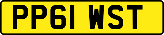 PP61WST