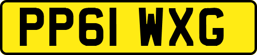 PP61WXG