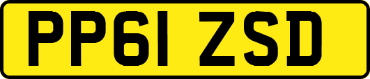 PP61ZSD