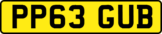 PP63GUB