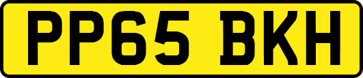 PP65BKH