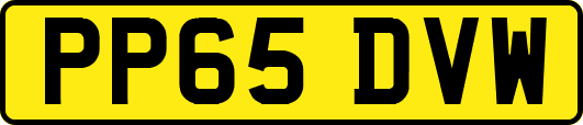 PP65DVW