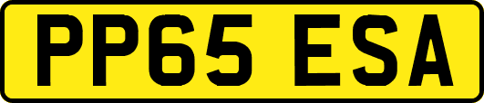 PP65ESA