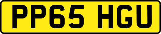 PP65HGU