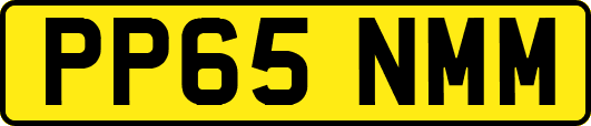 PP65NMM