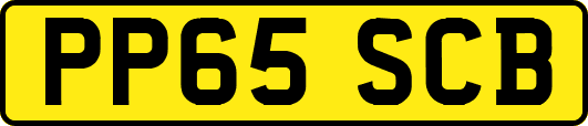 PP65SCB